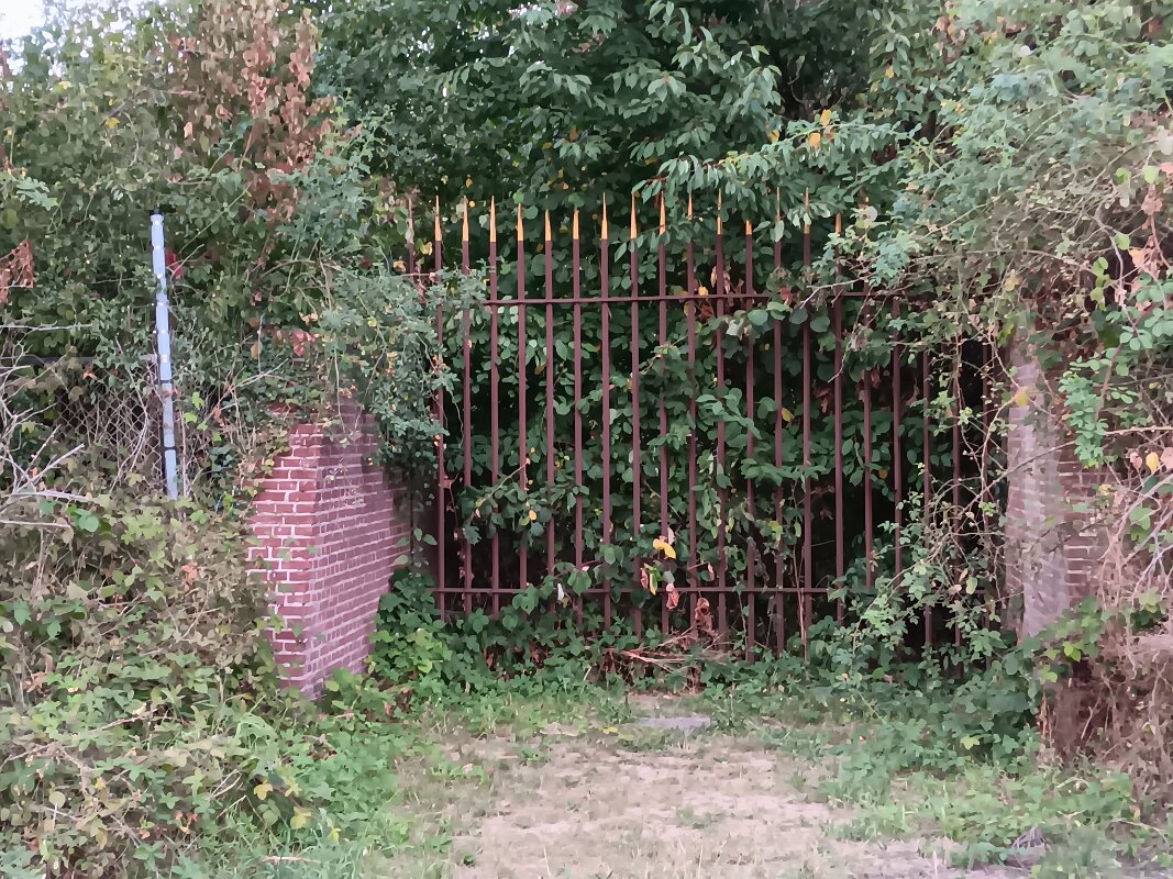 20260730_202828