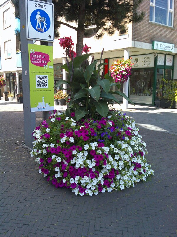 DSCF0068