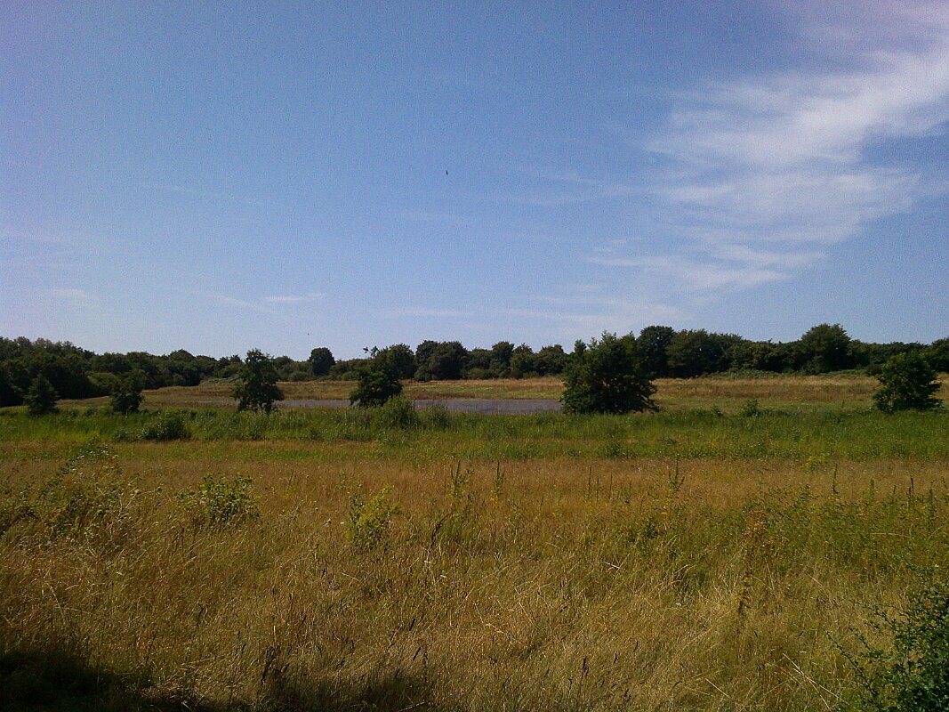 DSCF0075