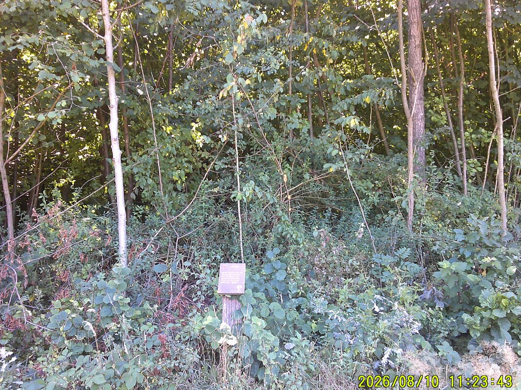DSCF0085
