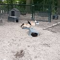 20260728_203553