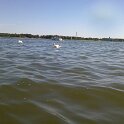 DSCF0041