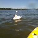 DSCF0043