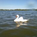 DSCF0044