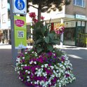 DSCF0068