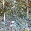 DSCF0085